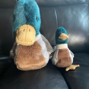 Jake Beanie Buddy (tag) & Beanie Baby Duck (no tag